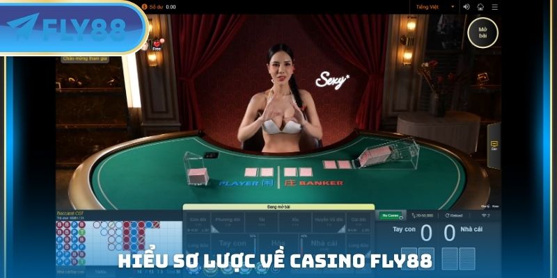 hiểu sơ lược về casino fly88