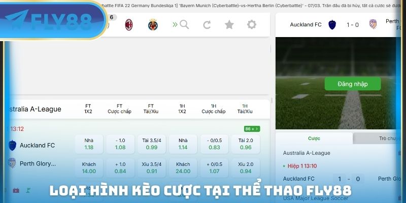 loại hình kèo cược tại thể thao fly88
