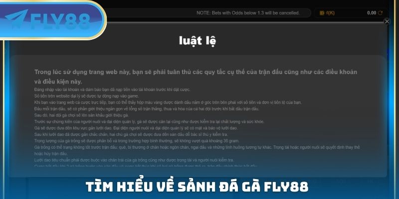 tìm hiểu về sảnh đá gà fly88